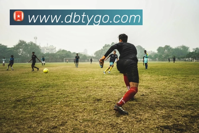 多宝体育发展历程